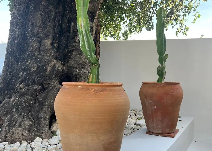 Lalola Villas - Casa Privada Denia